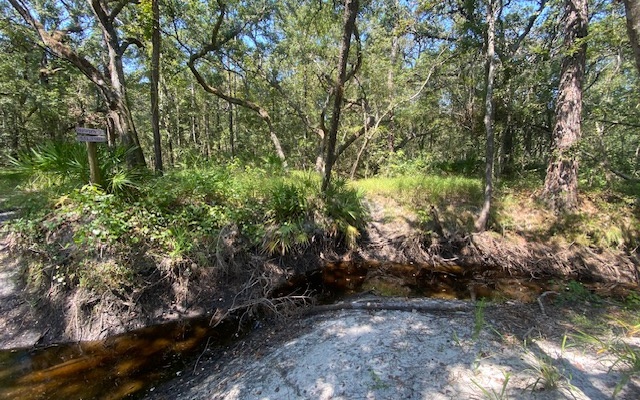 Property view 38